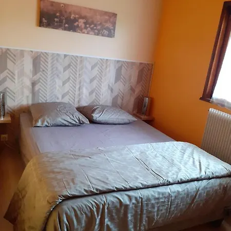 Les Chardons Dağ evi