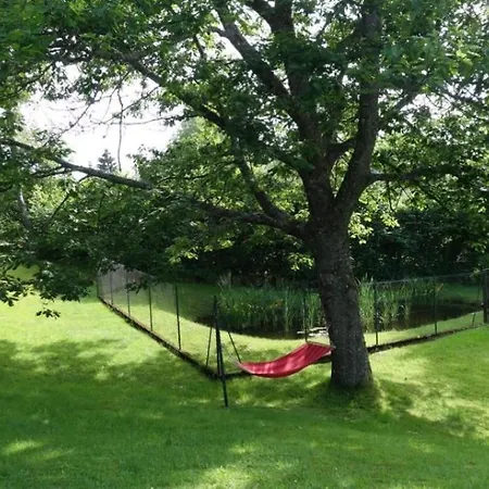 Dağ evi Les Chardons *